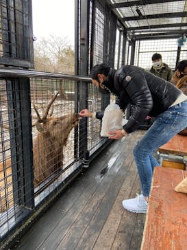 那須サファリパークに投稿された画像（2021/12/20）