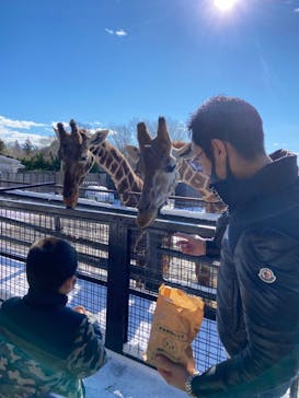 那須サファリパークに投稿された画像（2021/12/20）