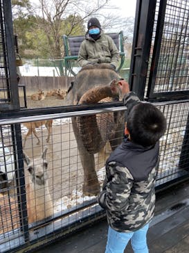 那須サファリパークに投稿された画像（2021/12/20）