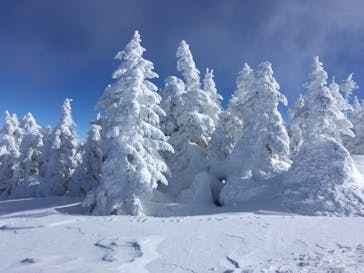 横手山・渋峠スキー場に投稿された画像（2021/12/20）