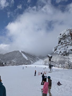 Hakuba47ウィンタースポーツパークに投稿された画像（2021/12/20）