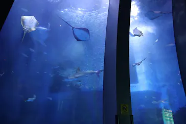 横浜・八景島シーパラダイスに投稿された画像（2021/12/20）