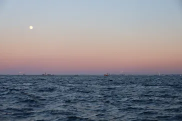 横浜・八景島シーパラダイスに投稿された画像（2021/12/20）