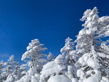 志賀高原焼額山スキー場に投稿された画像（2021/12/20）