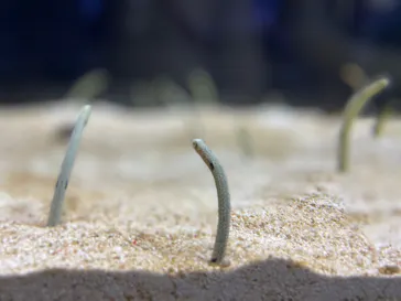 すみだ水族館に投稿された画像（2021/12/20）