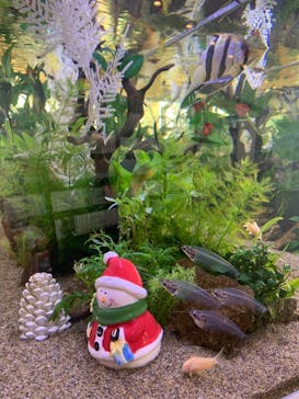 横浜天然温泉 SPA EASに投稿された画像（2021/12/20）