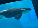 名古屋港水族館に投稿された画像（2021/12/20）