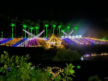 美らヤシパークオキナワ・東南植物楽園に投稿された画像（2021/12/20）