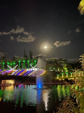 美らヤシパークオキナワ・東南植物楽園に投稿された画像（2021/12/20）