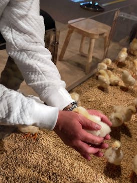 Moff animal world MARK IS みなとみらい店に投稿された画像（2021/12/20）