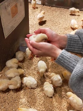 Moff animal world MARK IS みなとみらい店に投稿された画像（2021/12/20）