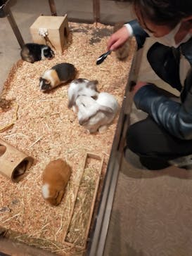 Moff animal world MARK IS みなとみらい店に投稿された画像（2021/12/20）