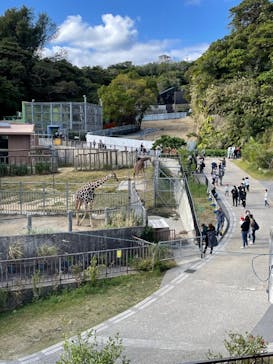 沖縄こどもの国に投稿された画像（2021/12/20）