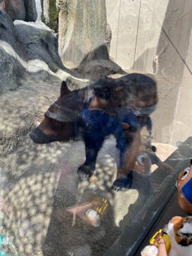 沖縄こどもの国に投稿された画像（2021/12/20）