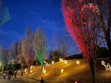 安城産業文化公園デンパークに投稿された画像（2021/12/20）