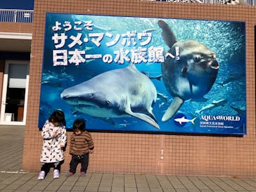 アクアワールド茨城県大洗水族館に投稿された画像（2021/12/20）