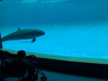 アクアワールド茨城県大洗水族館に投稿された画像（2021/12/20）