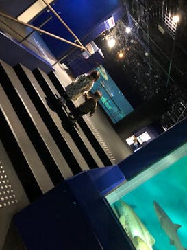 アクアワールド茨城県大洗水族館に投稿された画像（2021/12/20）