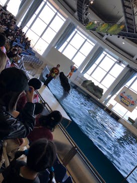 アクアワールド茨城県大洗水族館に投稿された画像（2021/12/20）