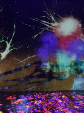 森ビル デジタルアート ミュージアム：エプソン チームラボボーダレスに投稿された画像（2021/12/20）