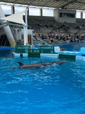 名古屋港水族館に投稿された画像（2021/12/20）