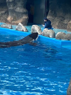 名古屋港水族館に投稿された画像（2021/12/20）