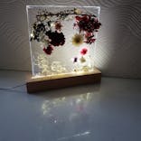 ずこうしつ〜sugamo〜に投稿された画像（2021/12/20）