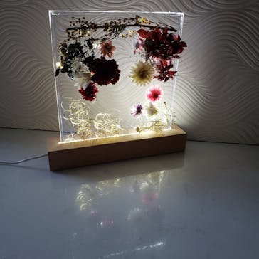 ずこうしつ〜sugamo〜に投稿された画像（2021/12/20）