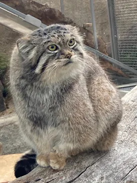 神戸どうぶつ王国に投稿された画像（2021/12/20）