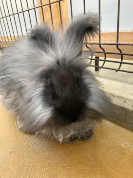 神戸どうぶつ王国に投稿された画像（2021/12/20）