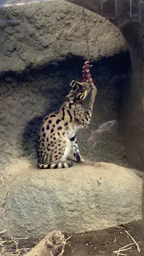 神戸どうぶつ王国に投稿された画像（2021/12/20）