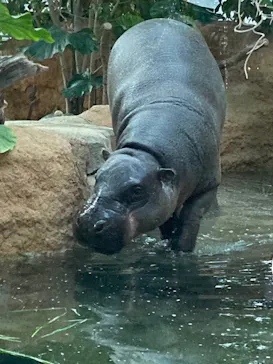 神戸どうぶつ王国に投稿された画像（2021/12/20）