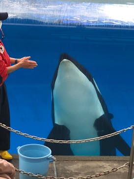 名古屋港水族館に投稿された画像（2021/12/20）