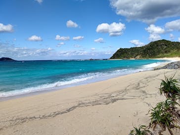 奄美ナイトツアーサービスに投稿された画像（2021/12/20）