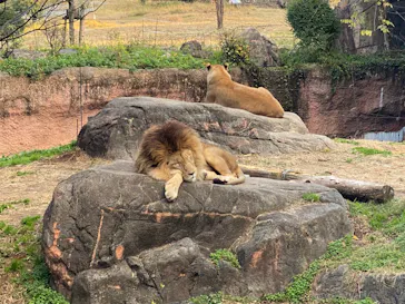天王寺動物園に投稿された画像（2021/12/20）