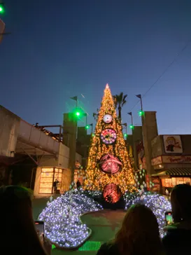 ひらかたパークに投稿された画像（2021/12/20）