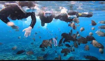 DIVING-SHOP SUNSに投稿された画像（2021/12/20）