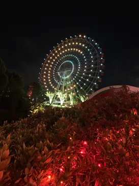 ひらかたパークに投稿された画像（2021/12/20）