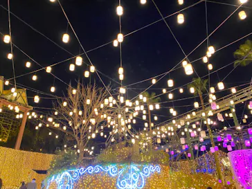 ひらかたパークに投稿された画像（2021/12/20）