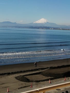 新江ノ島水族館に投稿された画像（2021/12/20）