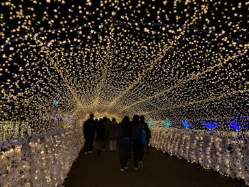 東京メガイルミに投稿された画像（2021/12/20）