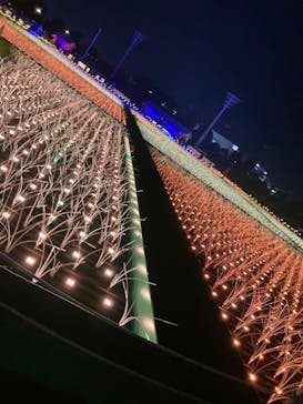 東京メガイルミに投稿された画像（2021/12/20）