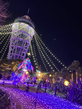 江の島シーキャンドルに投稿された画像（2021/12/20）