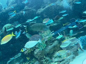 名古屋港水族館に投稿された画像（2021/12/20）