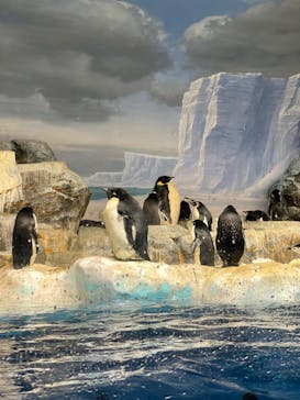 名古屋港水族館に投稿された画像（2021/12/20）