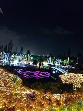 美らヤシパークオキナワ・東南植物楽園に投稿された画像（2021/12/20）