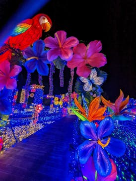 伊豆ぐらんぱる公園に投稿された画像（2021/12/20）