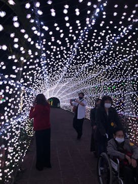 美らヤシパークオキナワ・東南植物楽園に投稿された画像（2021/12/20）