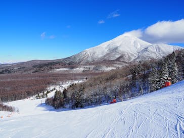 しらかば2in1スキー場に投稿された画像（2021/12/20）