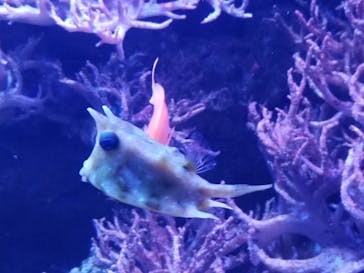 名古屋港水族館に投稿された画像（2021/12/20）